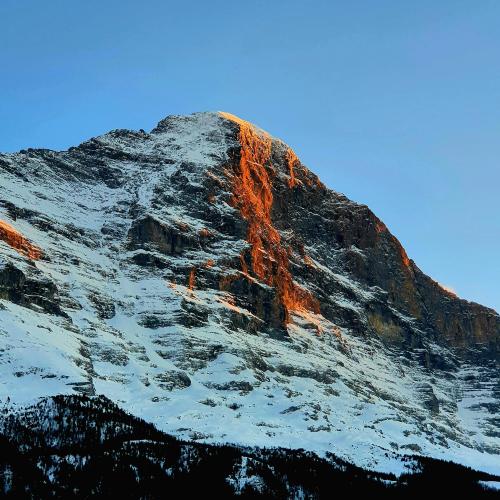 oneshotolive:  The Eiger at dusk - Grindelwald, Swtzerland [OC] [3024x3024] 📷: timauthe 