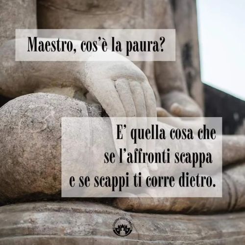 Un giorno la paura bussò alla porta. Il coraggio andò ad aprire e non trovò nessuno.
Martin Luther King
https://www.instagram.com/p/CmqyVa_NVM1/?igshid=NGJjMDIxMWI=