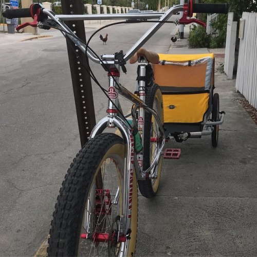 planetbmx: The OM Duro truly is the ultimate multi-use bike with some serious BMX style! I use mine 