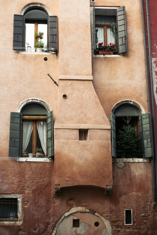 the earthy tones of venetian houses // 