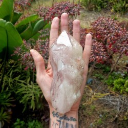 22teachings:  #crystaloftheday When anxiety rears up and my heart is pounding, I place this Lithium Cathedral Quartz on my chest and take a slow, deep breath. #LithiumQuartz shows a dusting of the lilac mineral lithium, which works to combat anxiety,
