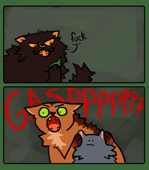 snickerdoobles:fireheart calm down it’s part of cinderpaw’s training(original)