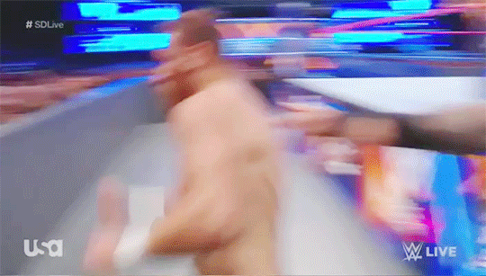 mith-gifs-wrestling:  I appreciate both Sami getting to celebrate his awesome moonsault–and
