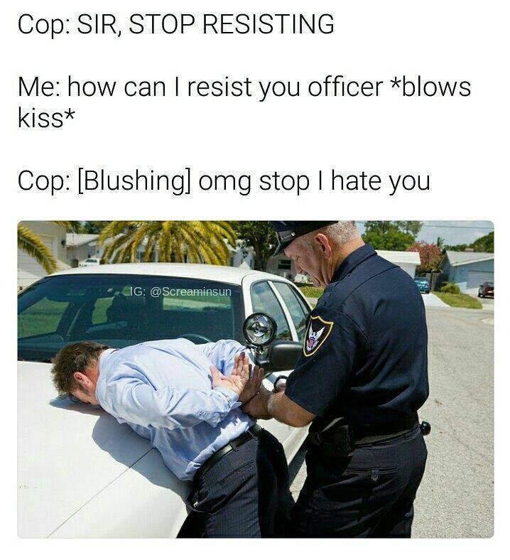 Meme Culture