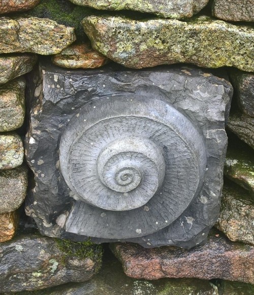 witches-art-and-weirdness:Stone carvings.Taken in the moors of skipton.