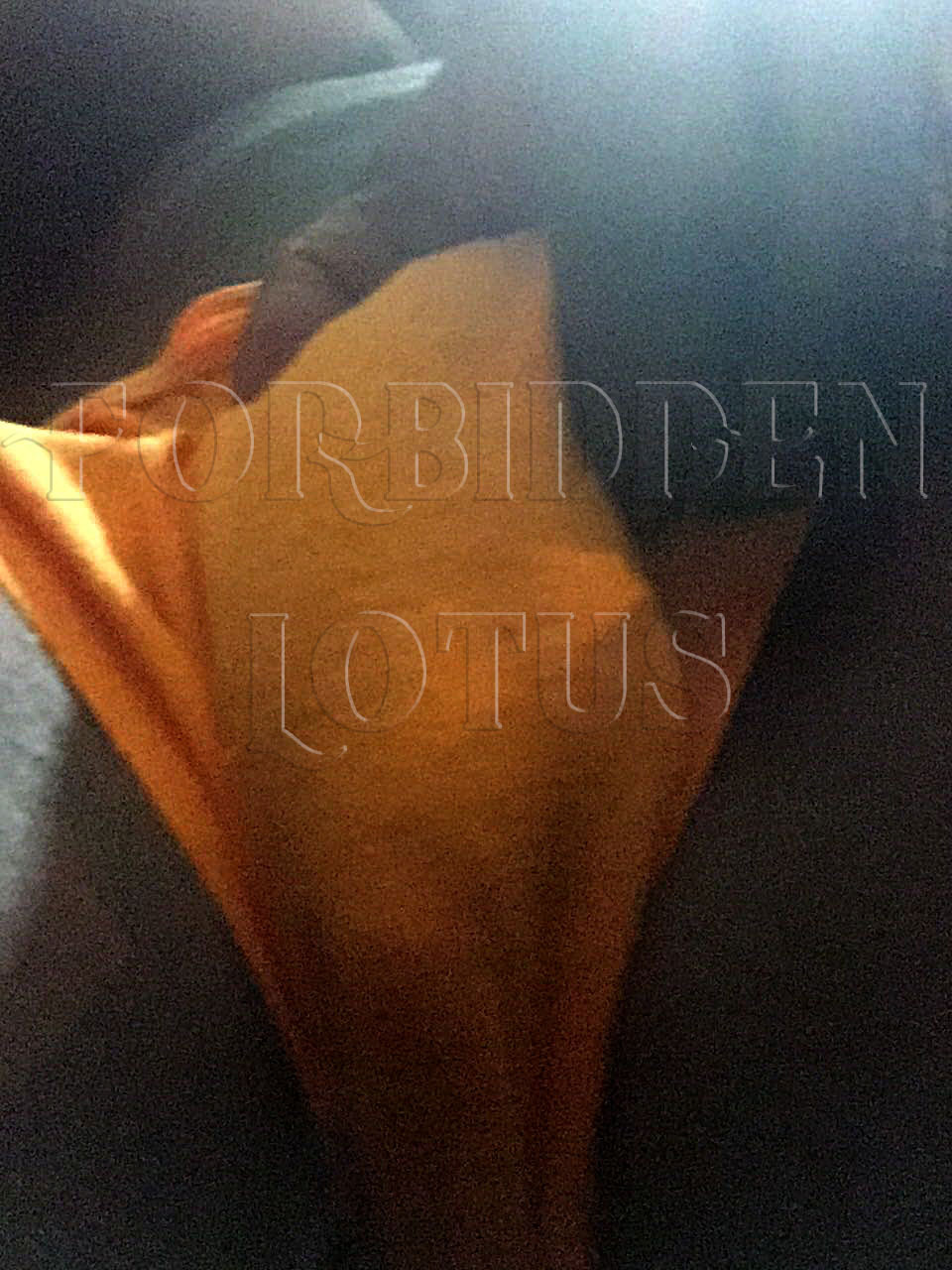forbiddenlotus:  forbiddenlotus:My mighty clit bulge…cum indulge ur big clit desires
