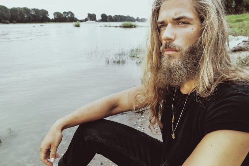 Beard Necessities