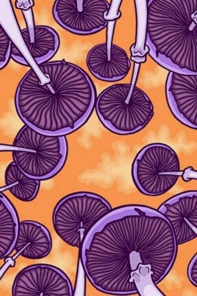 purplehearts-pinkfarts-deactiva: