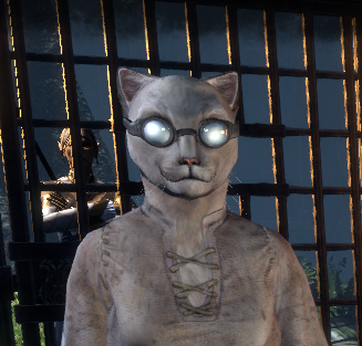 I made Mrow / Miriam in ESO, as a Khajiit named Mir’rami One-Paw.