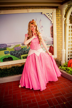 All Things Sleeping Beauty