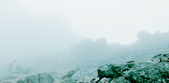 wrathandruin-blog:  Do we leave Middle-Earth to its fate?Do we let them stand alone? 