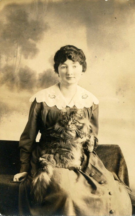maudelynn:A lovely young lady and her gorgeous cat! c.1914  
