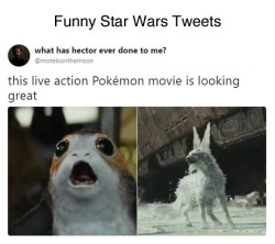 wwinterweb:  Funny Star Wars Tweets (see