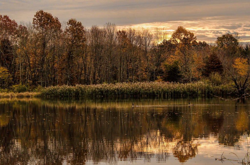 nwalthall:   	Fall Fest 2015 7 by Ned Walthall    