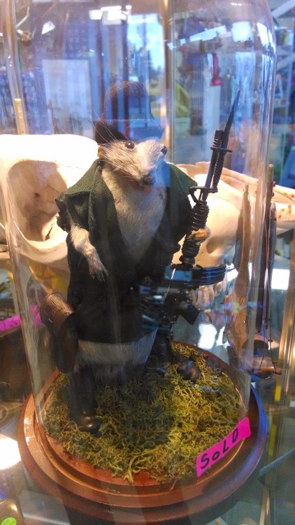 I hope that whoever donated this to the thrift store added “DEAD RAT HOLDING GUN” to their itemized tax deductions.
Spotted in a thrift store in Bellingham, WA. Submitted by Bassposaune.