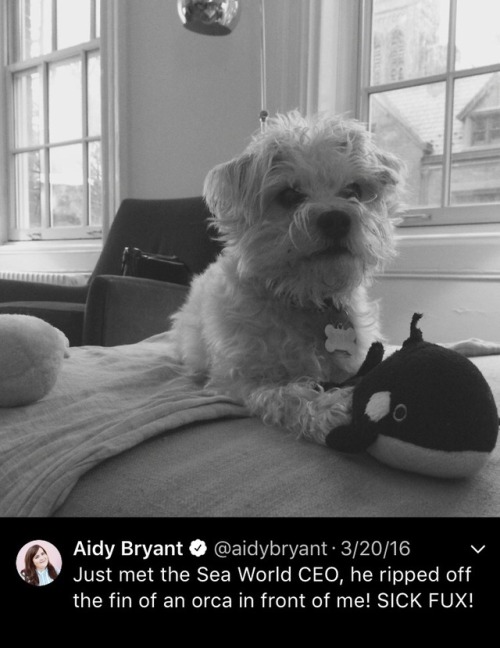back-home-ballers: Aidy Bryant Social Media Appreciation Post: part 1 of what could be an infinite a