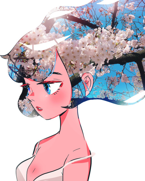 stephaniepriscillart:    Sakura in Osaka 🌸 the day he proposed 🌸  