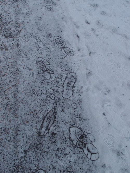 Frozen steps