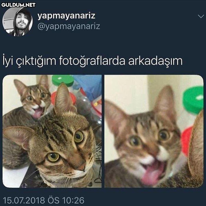 lyi çktığim fotoğraflarda...