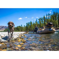 coffeentrees:  Those summer water days. Ambassador @thenoisyplume and crew on the Methow in the Northern Cascades. #trustthewild | #westernrise by western_rise