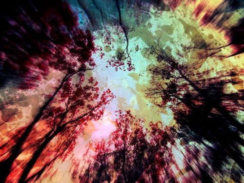 mikemelrinho:  follow my facebook page —> psychedelic mind