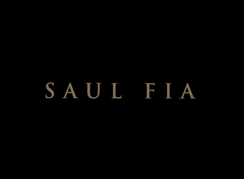 Son of Saul (2015)Director: László Nemes cinematographer: Mátyás Erd&eac