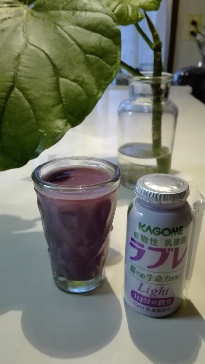 Health drink 乳酸菌飲料　 So delicious