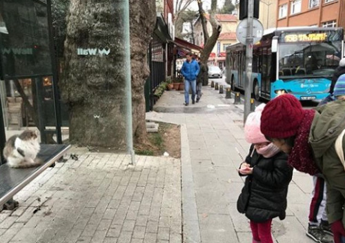 Kuzguncuk’ta mahalle turu ve ardından silüet atölyesi… Sokakları gezerken ahşap binalar, cumb