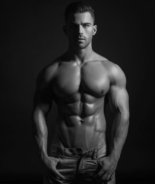 Adonis Files