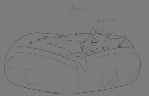@iaminsideyourwalls And I Were Up At 2 Am And With Our Powers Combined We Made An Oc- Snipers Cat