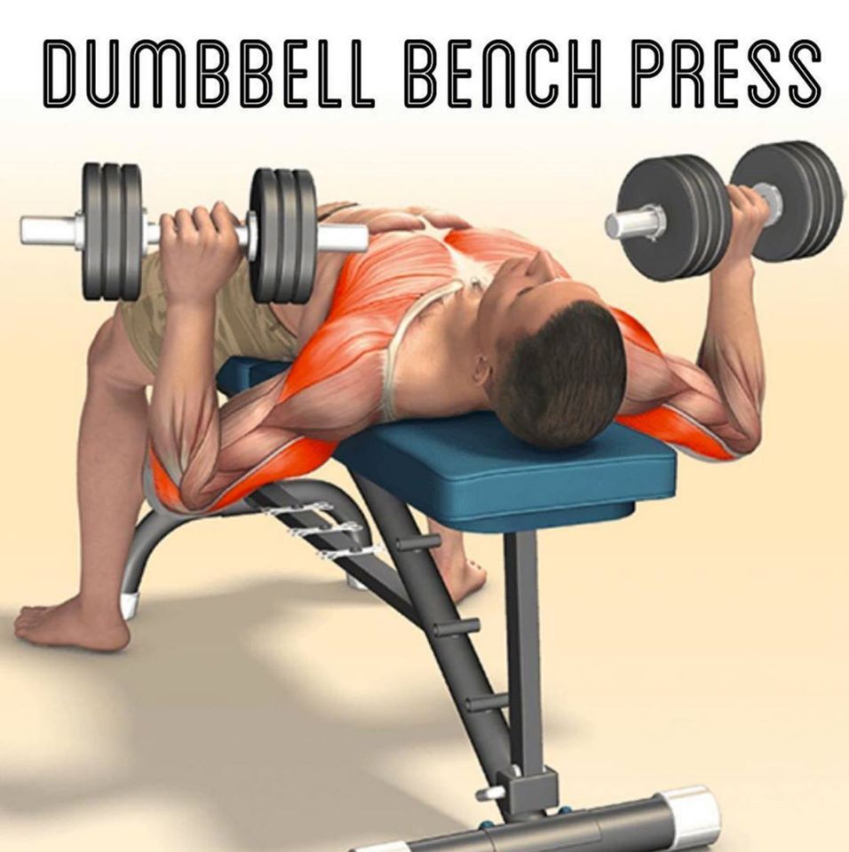taichi-kungfu-online:  strong muscle from every day
