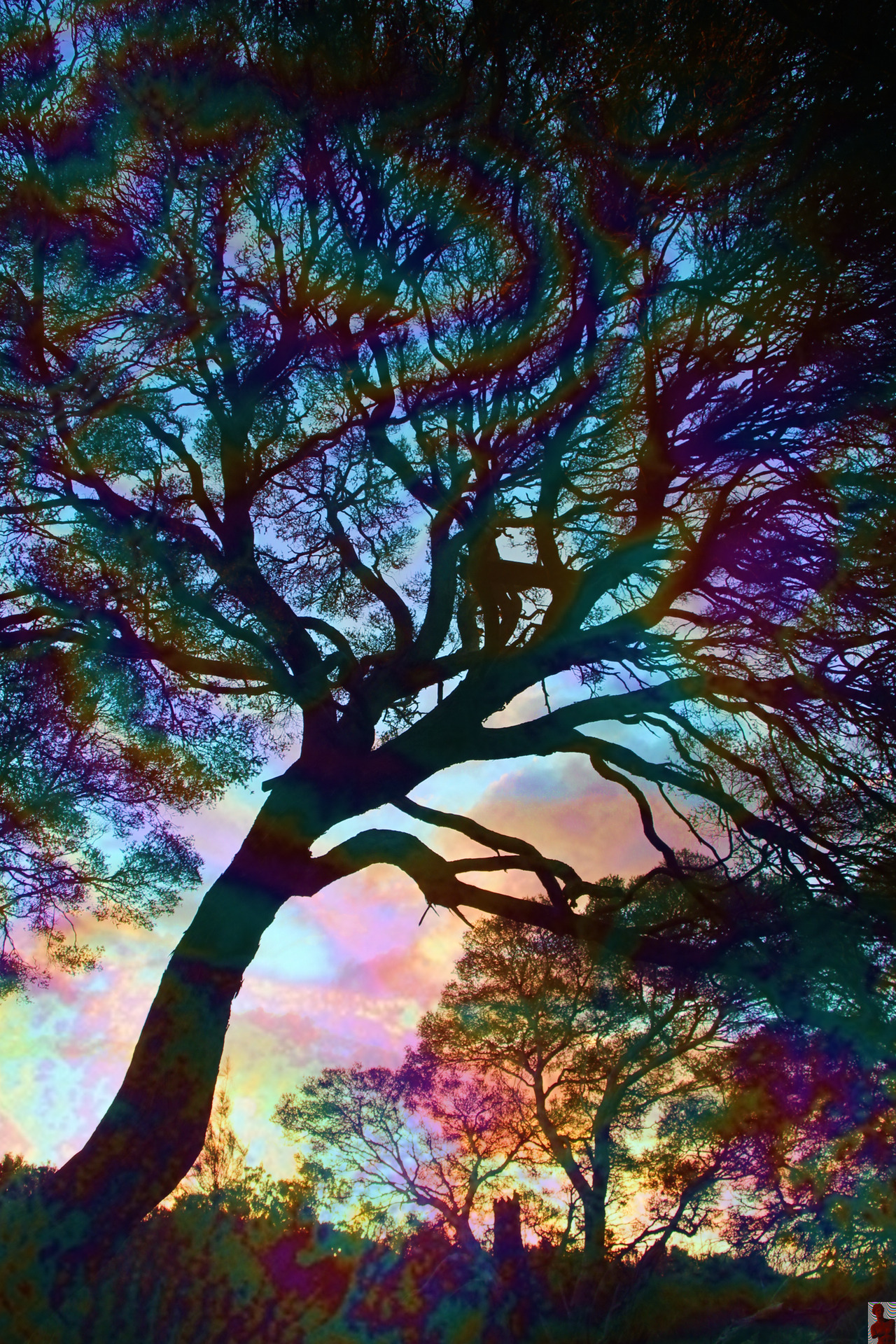 pureblindingcolour:   a wintery afternoon   by pureblindingcolour 