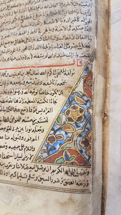 LJS 387 - Qāmūs al-muḥīṭThis manuscript, written in western Persia around the year 1400 CE