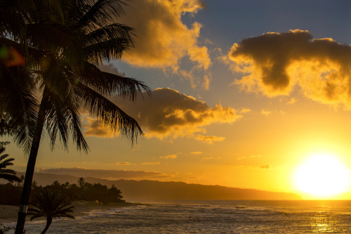 aspworldtour:  Until next year… Photo | ASP
