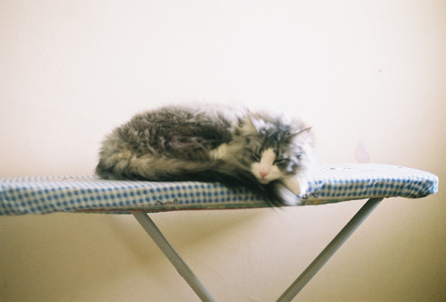 convexly:  untitled by Candice Carlin on Flickr.