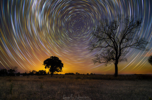 spinningblueball:Star Trails By Lincoln Harrison