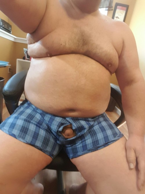boxermann:  Hanging out in the office in adult photos
