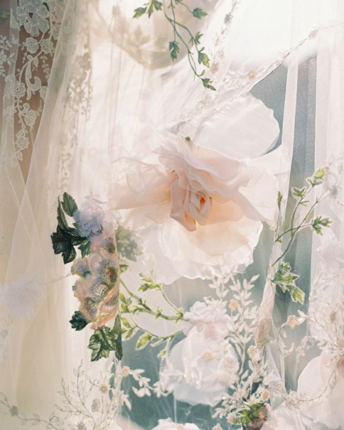 andantegrazioso - Of flowers and veils | clairepettibone