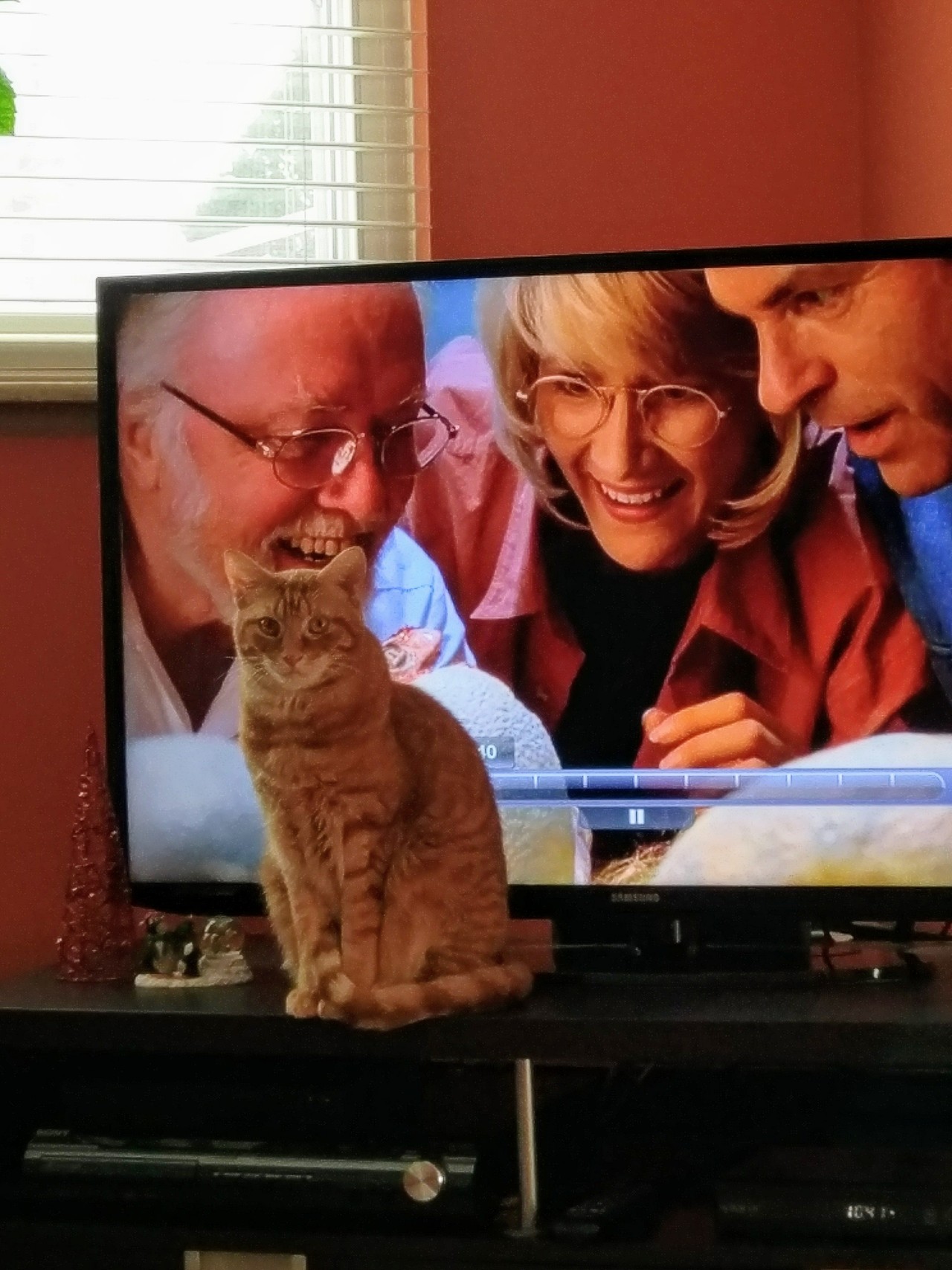 world-of-cats:  Nope. Not gonna let a baby dinosaur  upstage me.