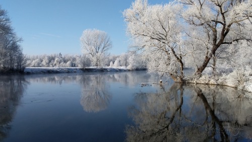 frosty trees … | uwhe-arts 