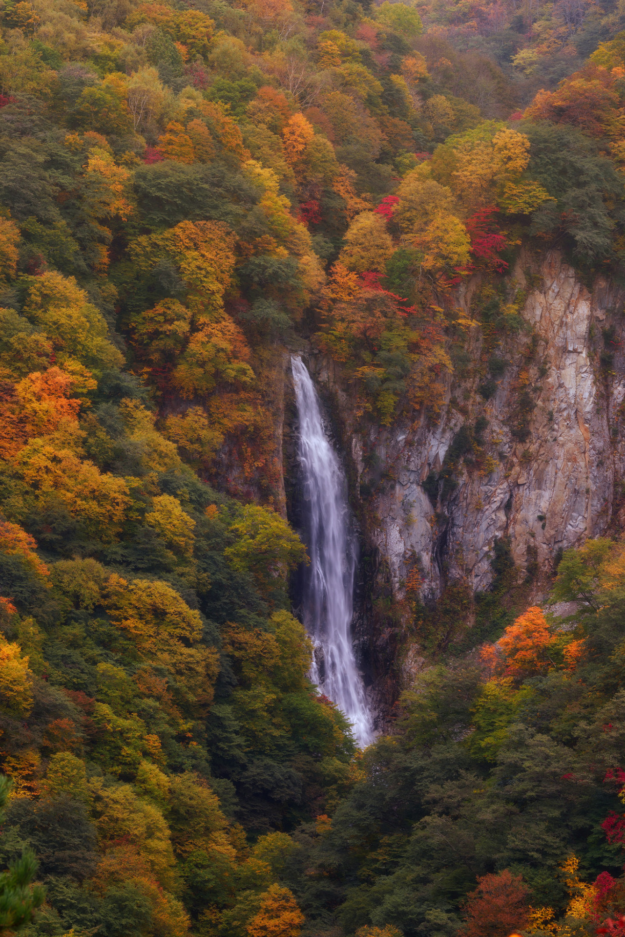 travelthisworld:  Slit Nagano, Japan | by Agustin Rafael Reyes