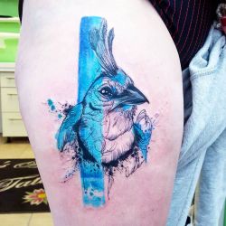 best-tattoos:  Finally got to tattoo this Blue Jay on the Fabulous Franciska today, I would love to do more in this style.  I feel so honoured that you travelled from Germany to get tattooed, it was such a pleasure to meet you 💖 #hashtagsfordays #uktta