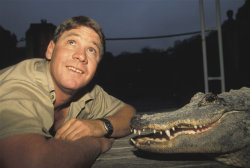 dillypatchkid:  February 22, 2013 — Happy Birthday, Steve Irwin. You taught me things about animals ever since I was little, you were the best part of my childhood and I will never stop watching The Crocodile Hunter. Rest in Peace. 