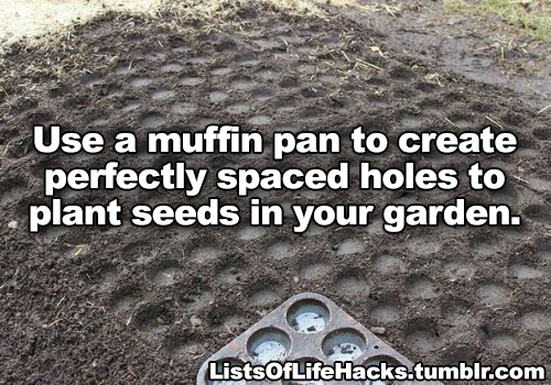 fangirltothefullest: halfdecenthomestucksprites:  falsepalindrome:  resting-dick-face:   listsoflifehacks: Genius Gardening Hacks I do a lot of this shit. The vinegar and baking soda stuff I’ll have to try. You can also use craft paper that they sell