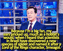 beeishappy:  LSSC | 2015.11.20 No One Confuses Smeagol and Gollum on Stephen’s Watch 