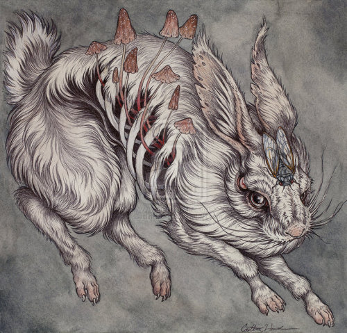gorettmisstag:  by Catlin Hackett 