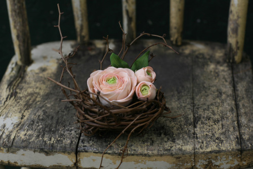 Beautiful pictures