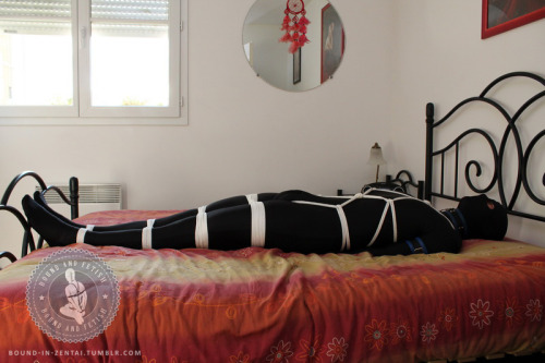 Porn bound-in-zentai:Me in strict bedtie :-) photos