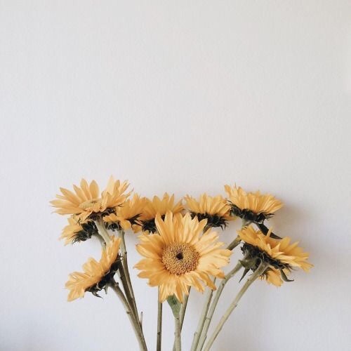teensapphicmagazine:moodboard | summer sapphic | pink & yellow