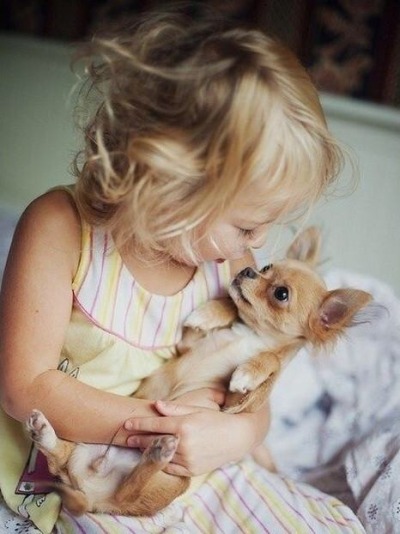 teapotsahoy:thehmn:I’m sorry for talking about dogs so much but I need to rant